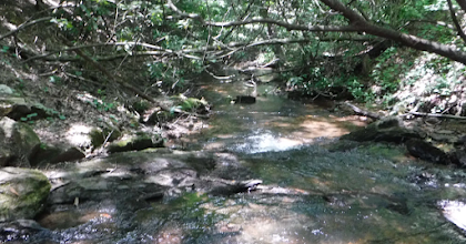 Appalachian Trail - Springer Mountain