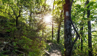 Appalachian Trail