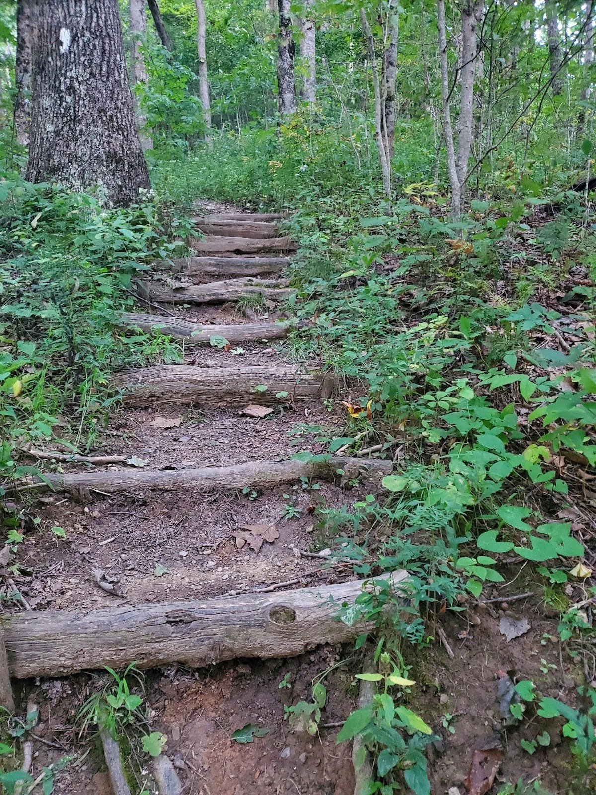 Appalachian Trail