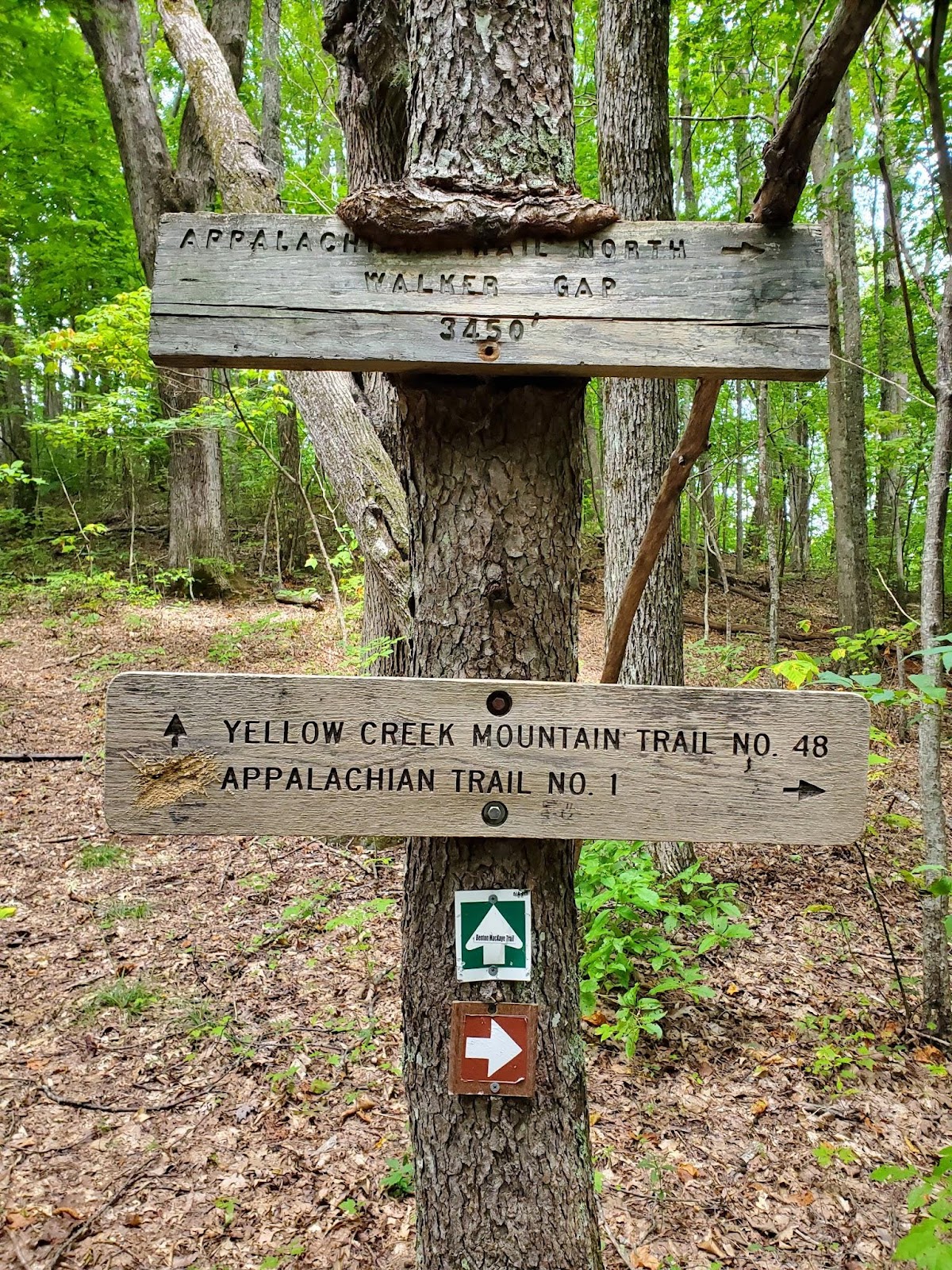 Appalachian Trail