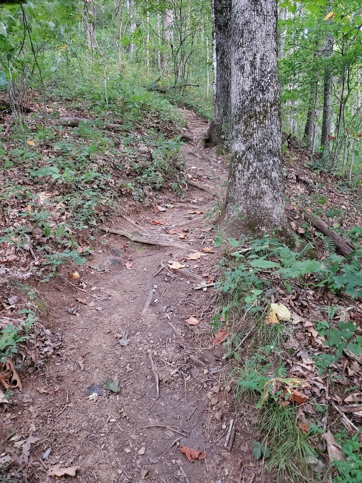 Appalachian Trail