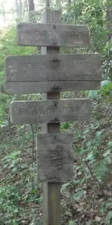 Appalachian Trail - Springer Mountain