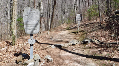 Appalachian Trail - Springer Mountain